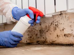 Forensic Mold Investigation in Quitman, MS